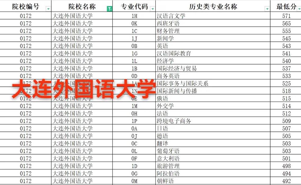 2024年大連外國語大學(xué)錄取分數(shù)線（2024各省份錄取分數(shù)線及位次排名）_大同市外國語學(xué)校小語種班分數(shù)線_大同市外國語學(xué)校歷年分數(shù)線