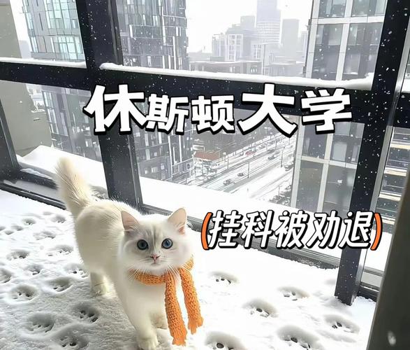休斯頓大學(xué)_休斯頓大學(xué)勸退原因_休斯頓大學(xué)應(yīng)對勸退方法
