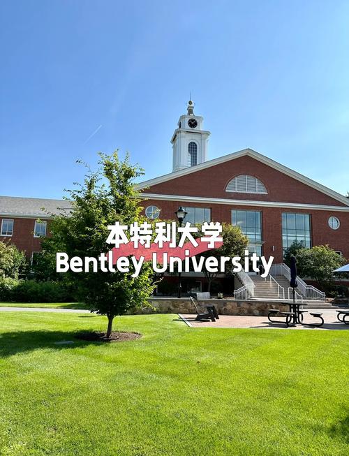 美國本特利大學商學院排名_本特利大學_本特利大學會計專業排名