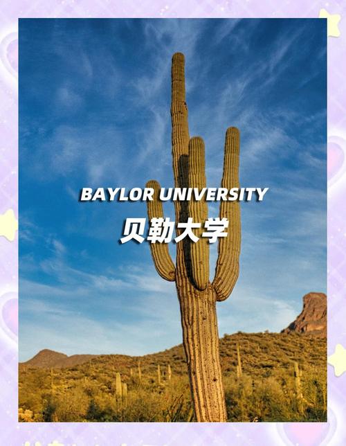貝勒大學國際學生服務_貝勒大學工程學院院長Daniel Pack_貝勒大學