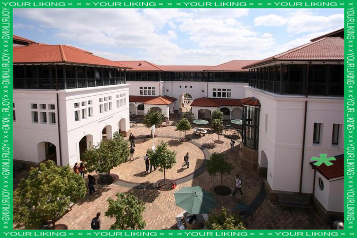 梅西大學特色專業_梅西大學新西蘭留學_新西蘭梅西大學排名