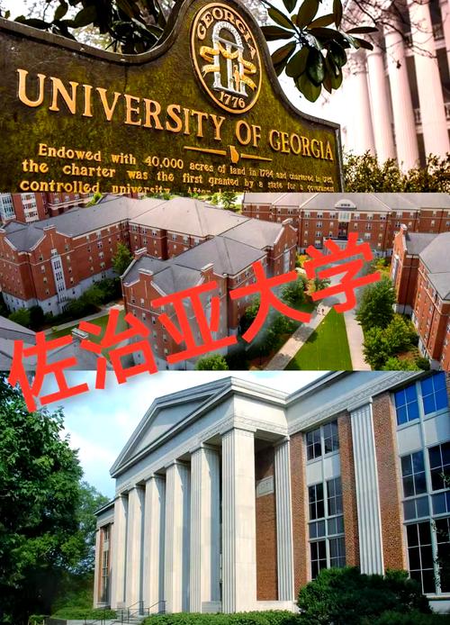喬治亞大學課程設置_喬治亞大學歷史_喬治亞州立大學