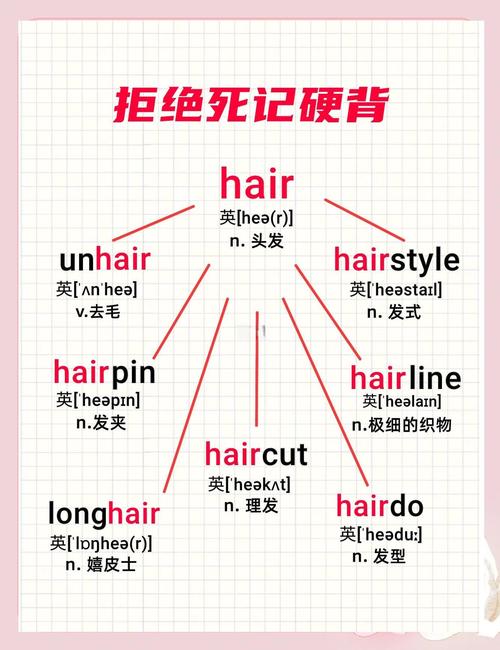 grey hairs區別_beard什么意思_hair用法詳解