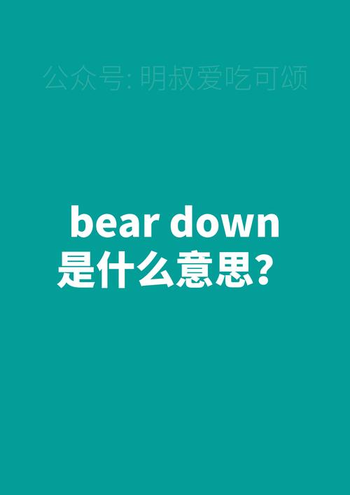 bear用法_bear忍受_bear是什么意思