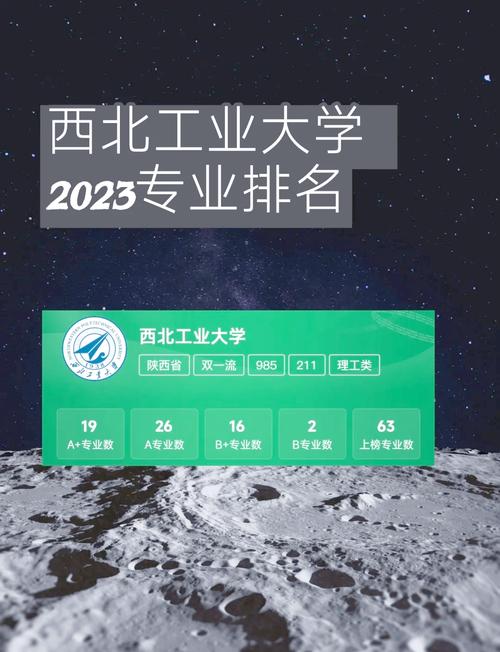 西北大學(xué)專業(yè)排名_2025中國(guó)大學(xué)專業(yè)排名_西北工業(yè)大學(xué)專業(yè)排名