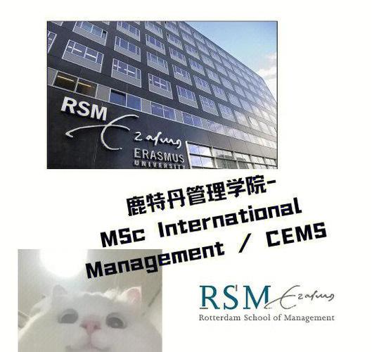 鹿特丹伊拉斯姆斯大學交流項目 _鹿特丹伊拉斯姆斯大學_ 北京大學經濟學院交換生 