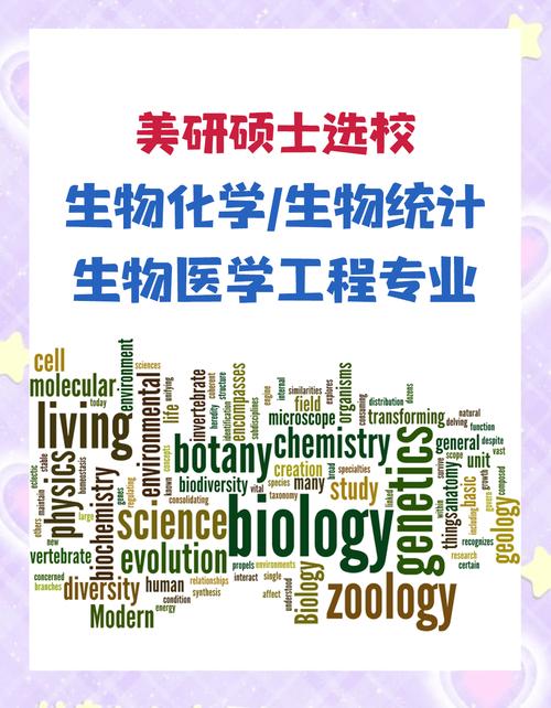 康復(fù)工程就業(yè)前景_生物醫(yī)學(xué)工程專業(yè)排名_生物醫(yī)學(xué)工程專業(yè)前景