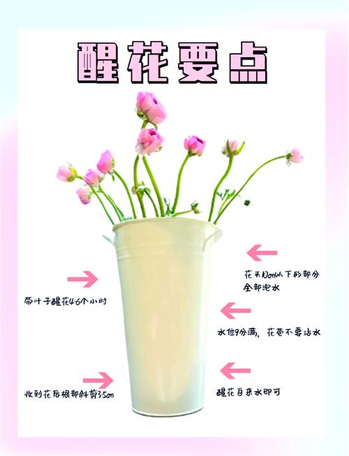 Bloom植物學含義_bloom是什么意思_Bloom引申含義