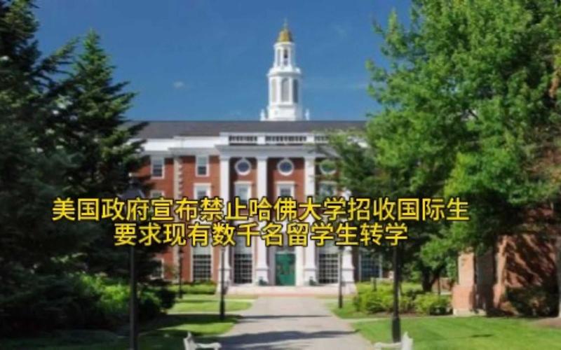 哈佛大學的錄取條件_哈佛大學國際學生禁令_美國哈佛大學禁止國際學生