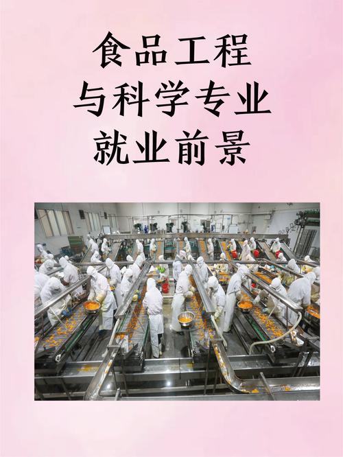 食品科學(xué)與工程專業(yè)就業(yè)前景分析_食品科學(xué)與工程專業(yè)薪資待遇_營養(yǎng)學(xué)專業(yè)