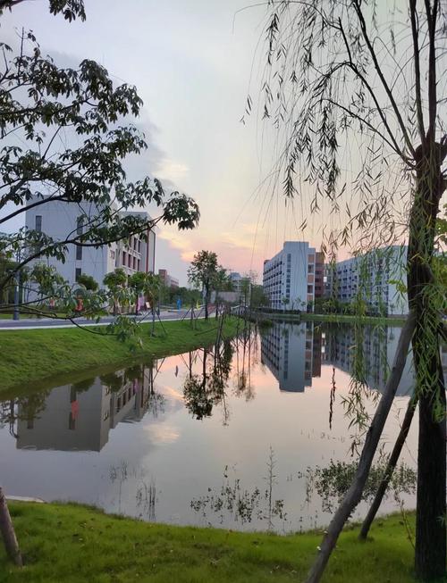 國際化工商管理教育體系_廣東海洋大學商學院工商管理專業_工商管理專業的課程
