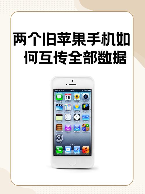 cellular是什么意思__ 雙語使用場景蜂窩電話 