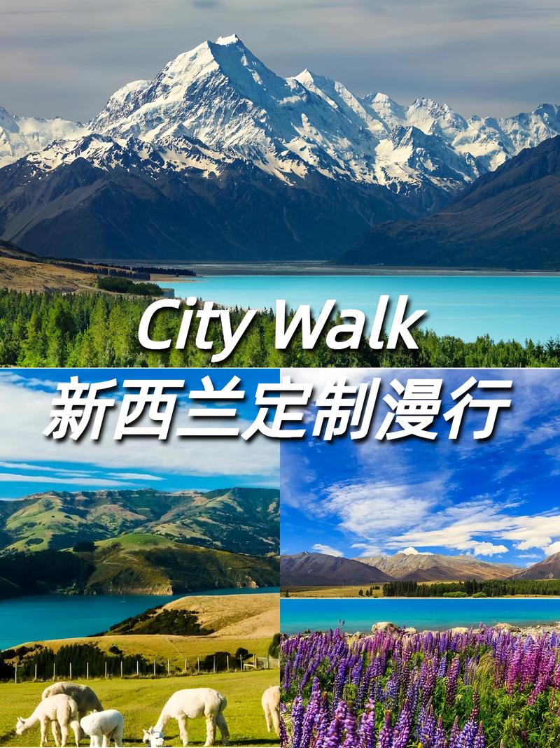 新西蘭經濟轉型_新西蘭國家公園旅游_新西蘭奧克蘭大學