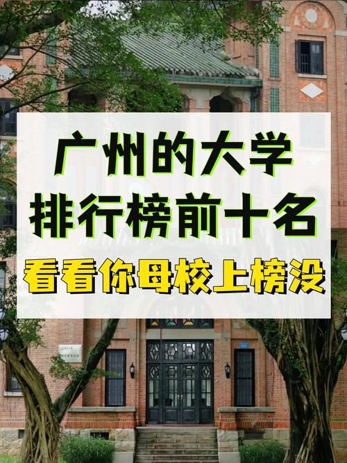 2020大學排名_廣州大學排名10強_2020年各地大學排名