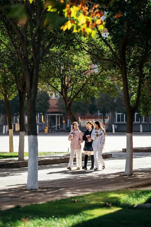  劍橋大學 全額獎學金 _洛陽科技職業學院 國際研學項目 _劍橋大學獎學金