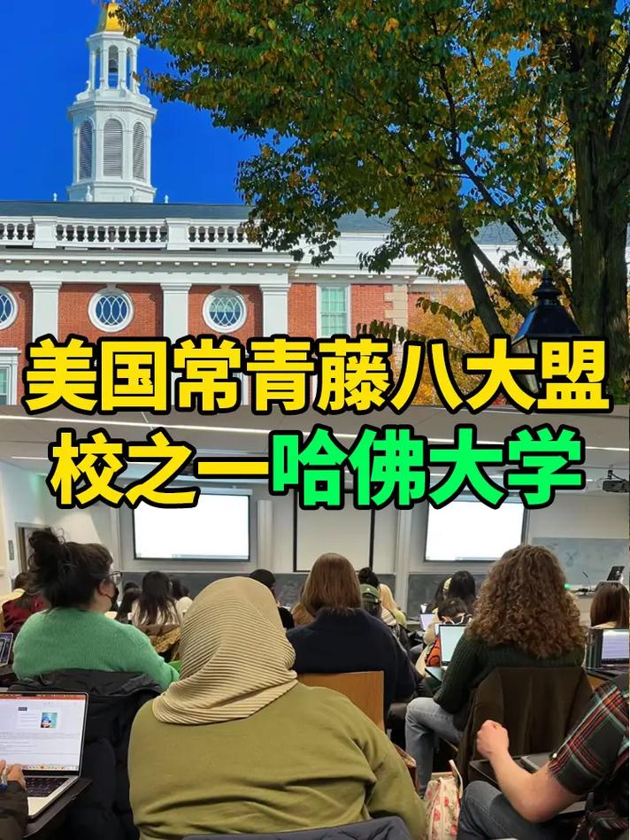多倫多大學(xué)排名_心理學(xué)專業(yè)學(xué)校排名_哈佛大學(xué)排名