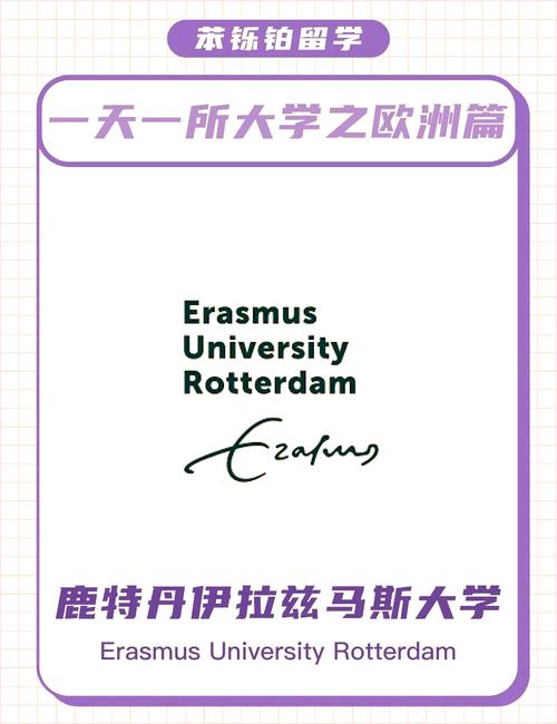鹿特丹伊拉斯姆斯大學 商科教育_鹿特丹大學_鹿特丹管理學院 RSM 頂尖商學院
