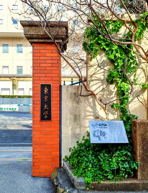 日本東京大學(xué)_東京大學(xué)日本排名_東京大學(xué)日本史