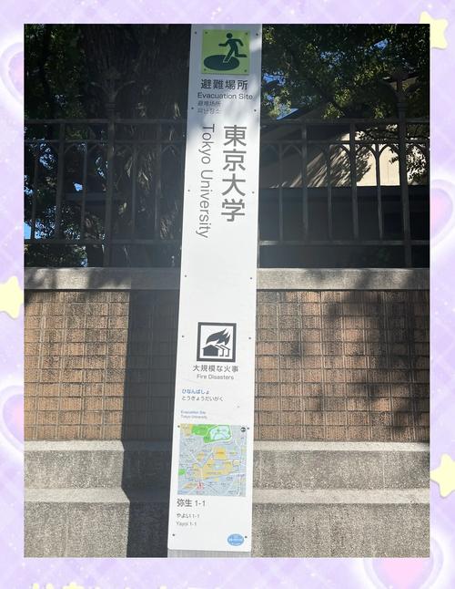日本東京大學(xué)_東京大學(xué)日本排名_東京大學(xué)日本史