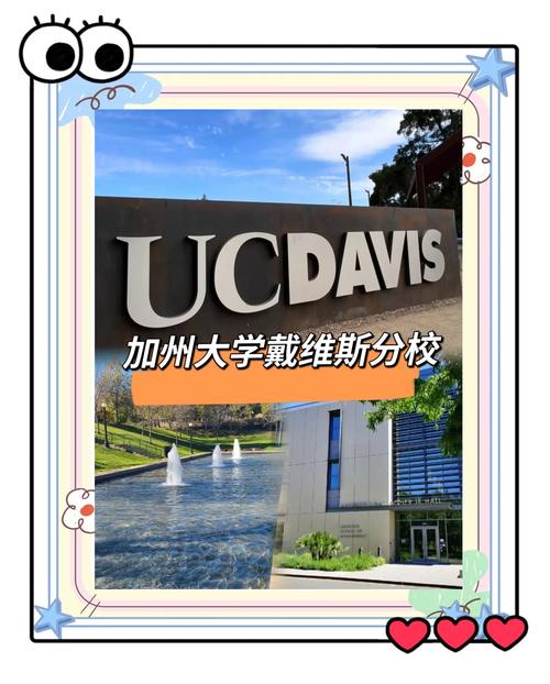 加州大學戴維斯分校_UC Davis農業與環境科學排名_加州大學戴維斯分校排名波動原因