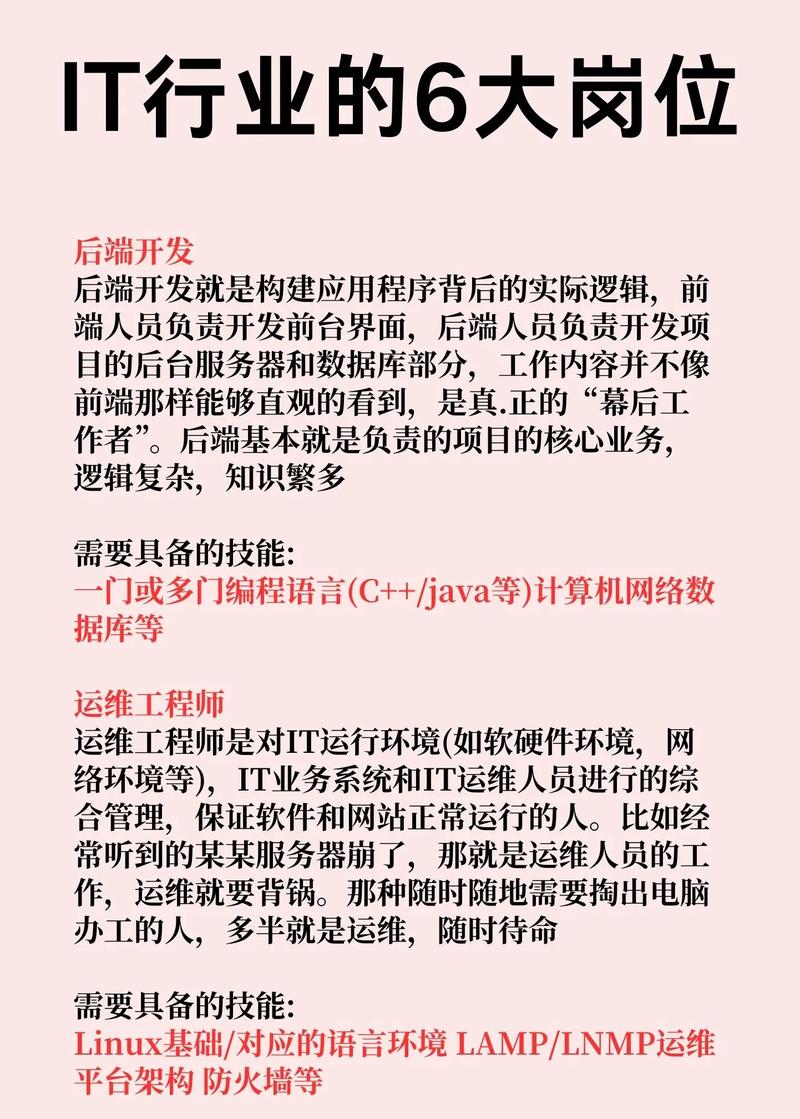 it專業(yè)_IT行業(yè)職業(yè)類型_計算機科學與技術(shù)