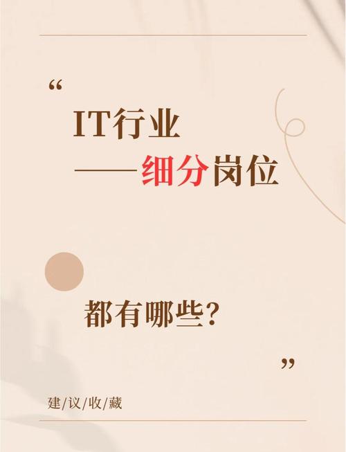 it專業(yè)_IT行業(yè)職業(yè)類型_計算機科學與技術(shù)