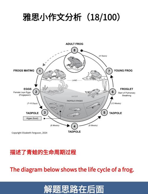 雅思考試時(shí)間安排_雅思考試流程時(shí)間分配_雅思考試各部分時(shí)間安排
