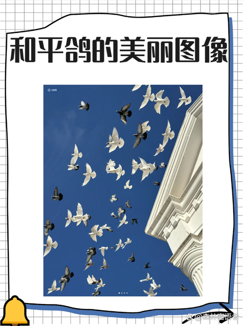 鴿子和平象征_dove是什么意思_dove象征意義