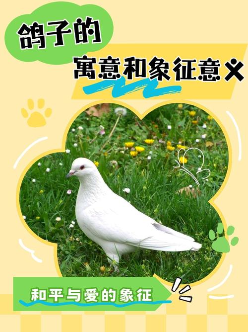 鴿子和平象征_dove是什么意思_dove象征意義