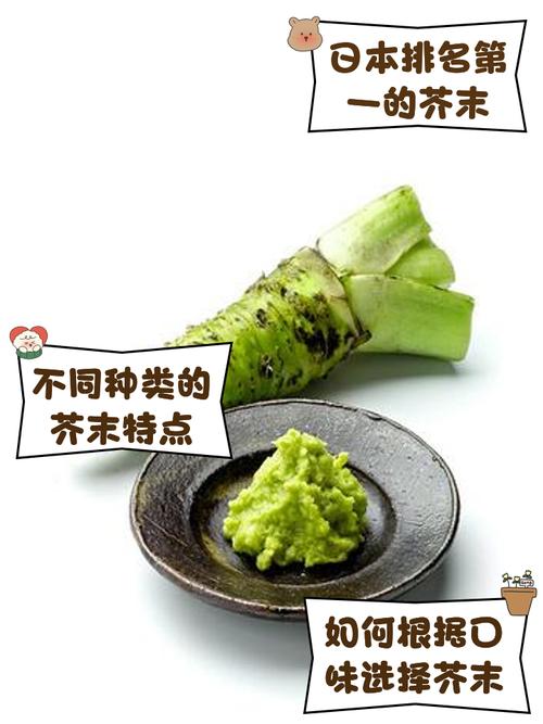 芥末品牌排名_芥末品牌推薦_芥末日本留學