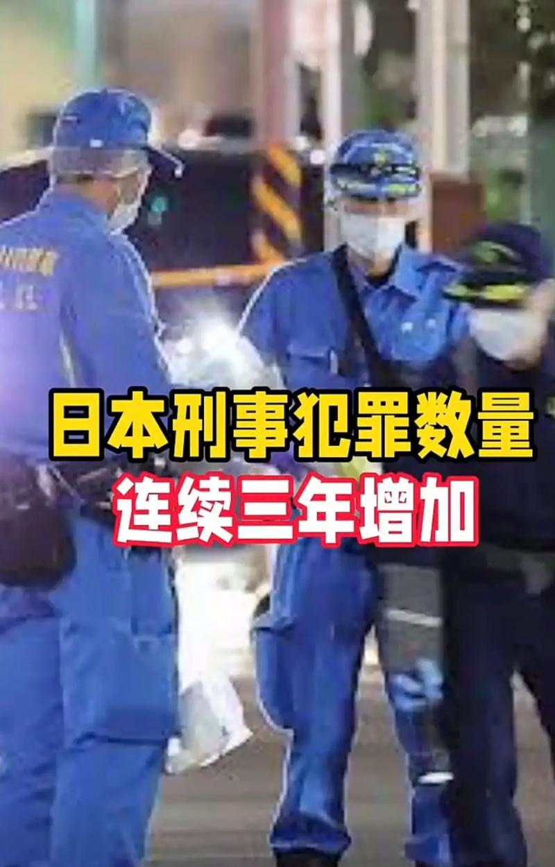 日本老年人犯罪率上升_日本犯罪率低_日本大學