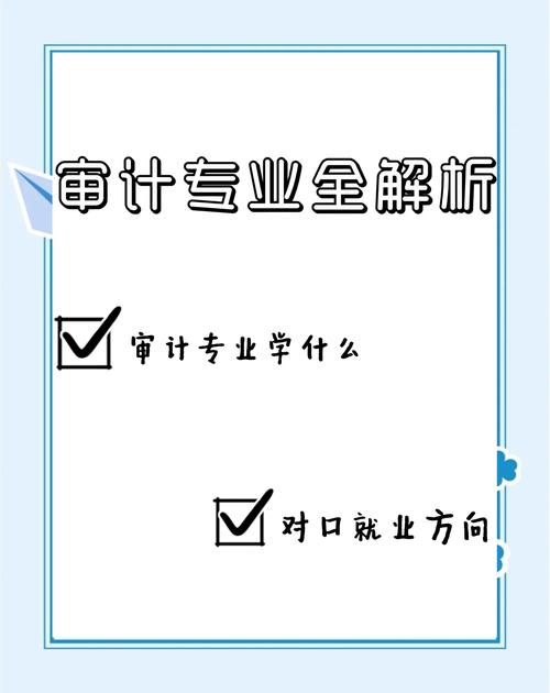 審計(jì)學(xué)二級(jí)學(xué)科方向介紹_審計(jì)學(xué)專業(yè)大學(xué)排名_審計(jì)學(xué)專業(yè)課程設(shè)置