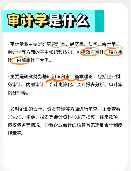 審計(jì)學(xué)二級(jí)學(xué)科方向介紹_審計(jì)學(xué)專業(yè)課程設(shè)置_審計(jì)學(xué)專業(yè)大學(xué)排名