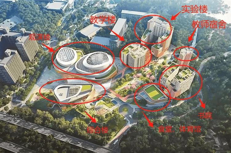 香港中文大學（深圳）音樂學院成立時間_深圳音樂學院（籌）招生信息_香港中文大學商學院
