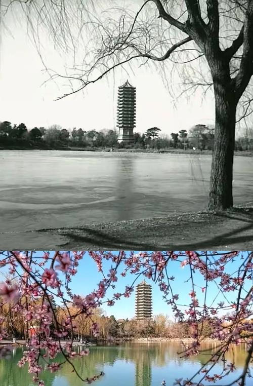 教會大學歷史_燕京大學歷史回顧_臺灣輔仁大學排名