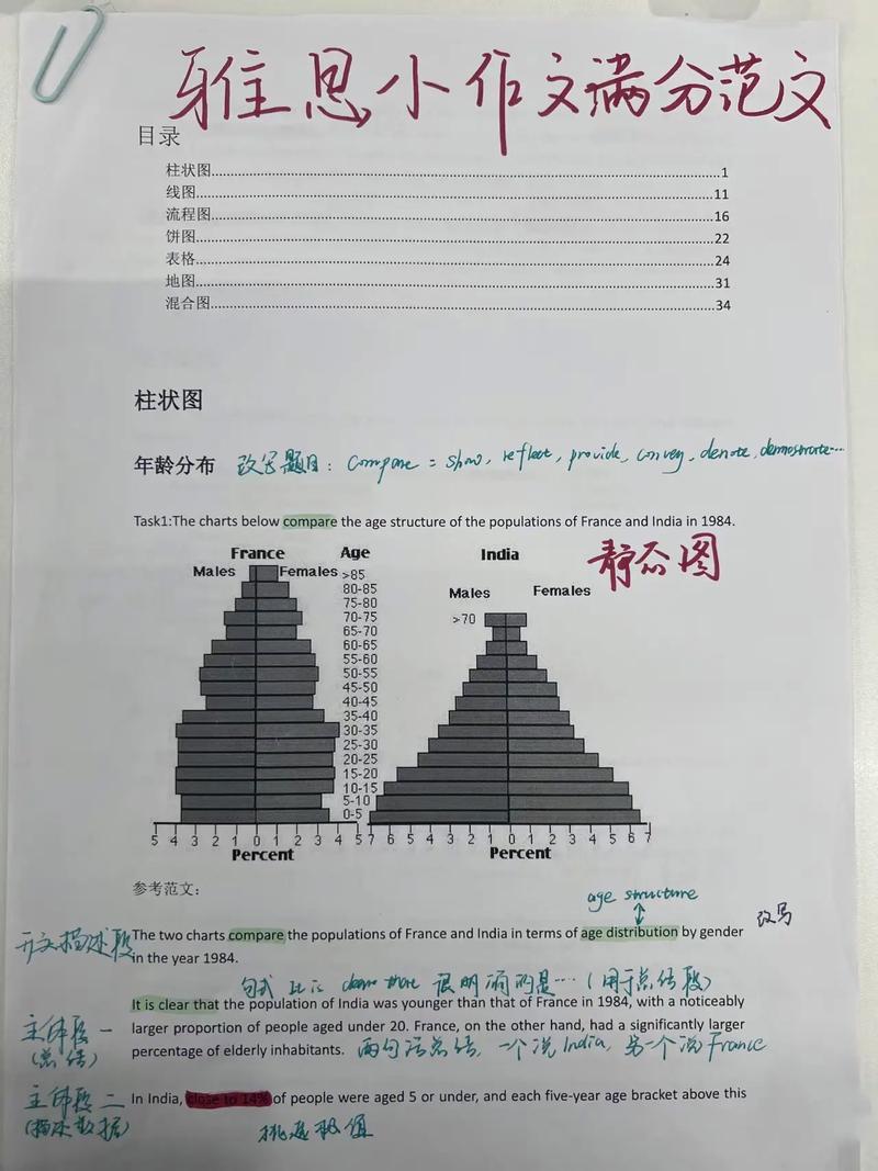 雅思考官表情解讀_雅思口語視頻_雅思考官面具