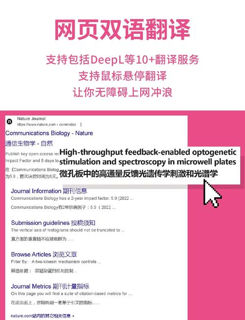 Chrome瀏覽器沉浸式翻譯_google翻譯在線_開源翻譯插件替代方案