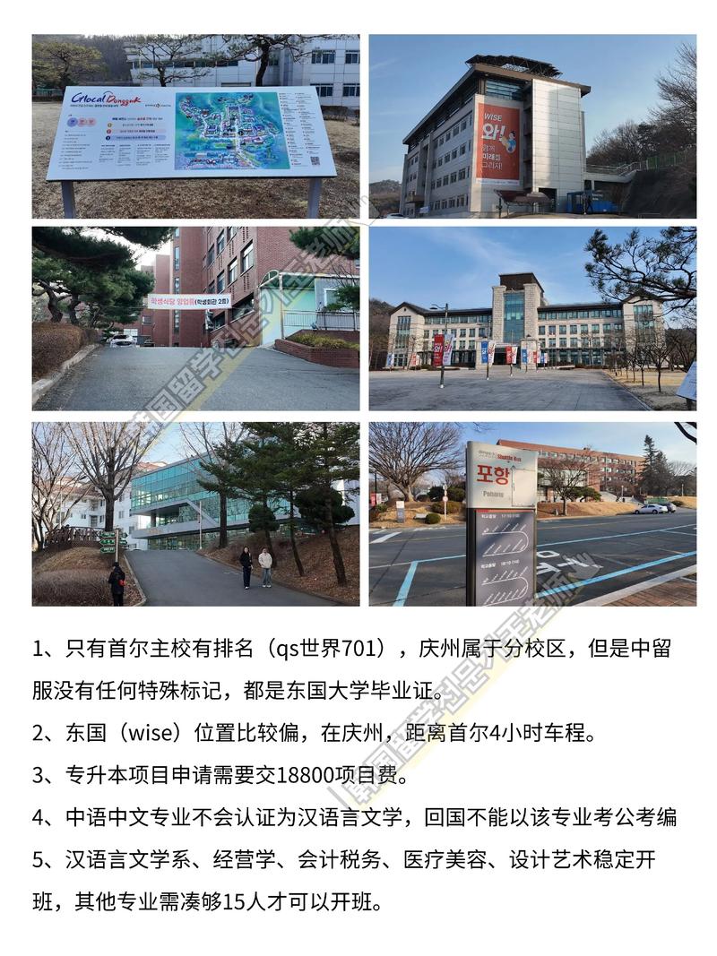 東國大學(xué)慶州校區(qū)_東國大學(xué)本科插班項目_韓國東國大學(xué)雙語本科