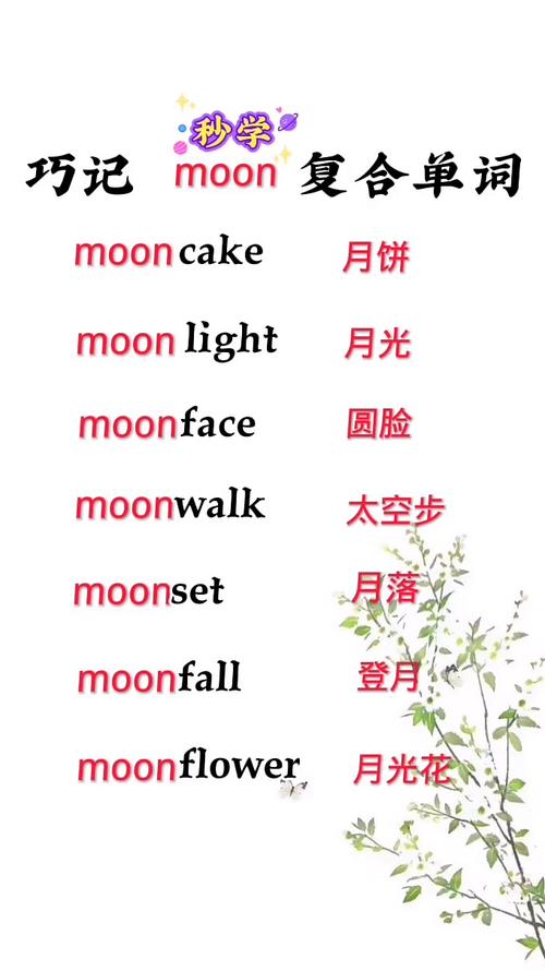 moonless_monthly_month是什么意思