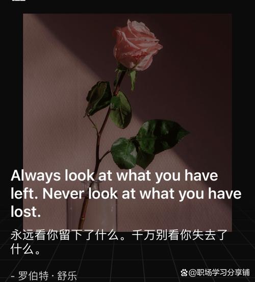 move through life gracefully_acknowledge and move through life events_move是什么意思