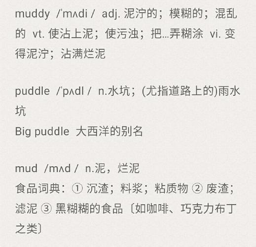 mud after zinc removal_mud in fields_mud什么意思