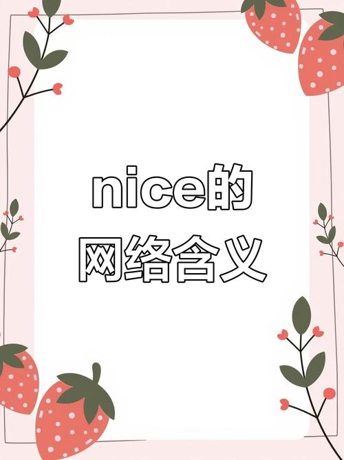 nice是什么意思中文意思_nice translation in Chinese_nice meaning in English