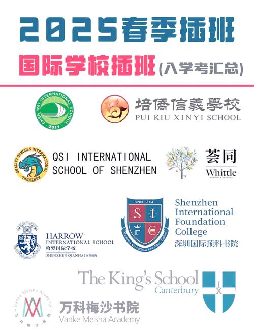 深圳國際部擇校_深圳國際學校排名_紐約大學排名