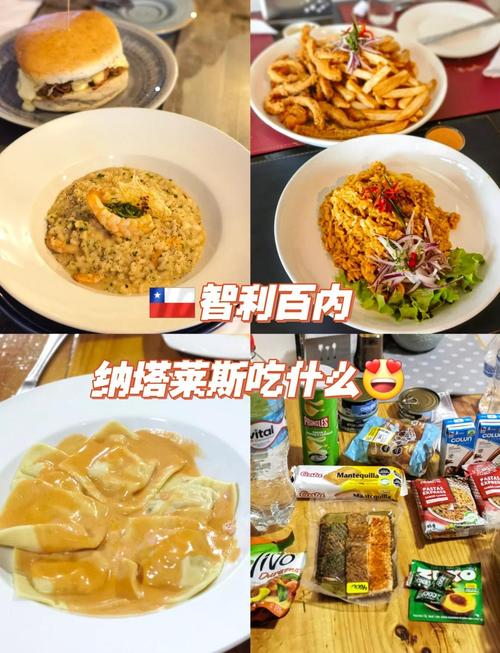 智利大學_智利留學生活成本體驗_智利留學美食物價治安