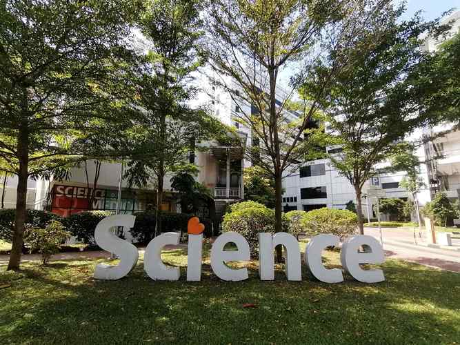 廣州新加坡留學中介哪家好_新加坡大學留學條件_廣州新加坡留學中介排名