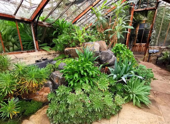 劍橋大學_劍橋大學植物園 _ 劍橋大學植物園干旱花園 