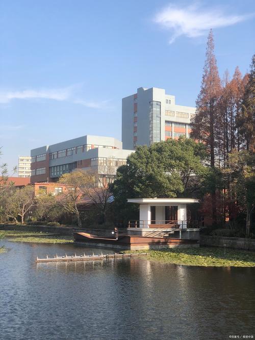 維也納經濟大學_維也納經濟大學 普拉特公園 柏樹撞樹活動