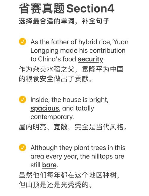 section是什么意思_section的用法_section是什么意思