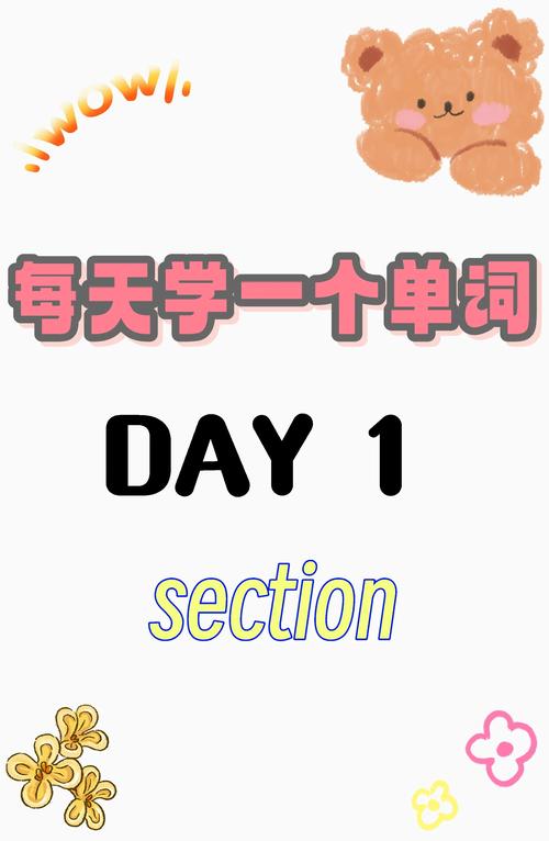 section是什么意思_section是什么意思_section的用法