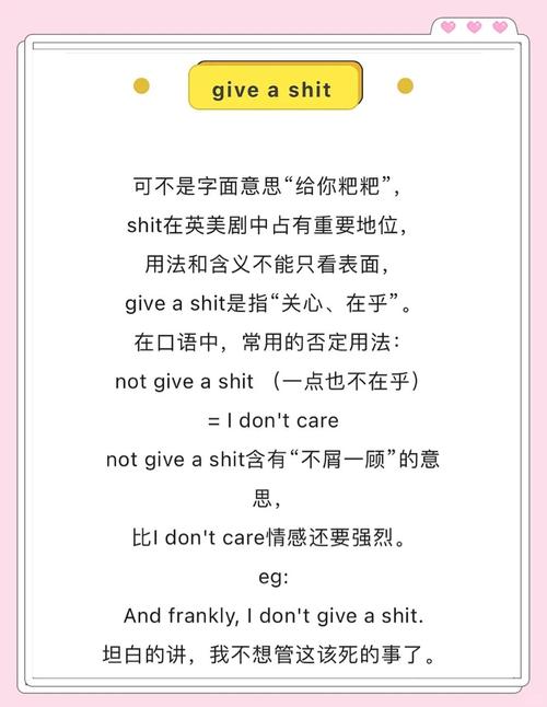 屎英文解釋_shit中文意思_shit什么意思
